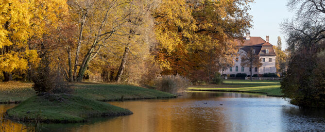 Der Branitzer Park im Herbst. Die Blätter sind gelb gefärbt. Im Vordergrund ist Wasser zu sehen.