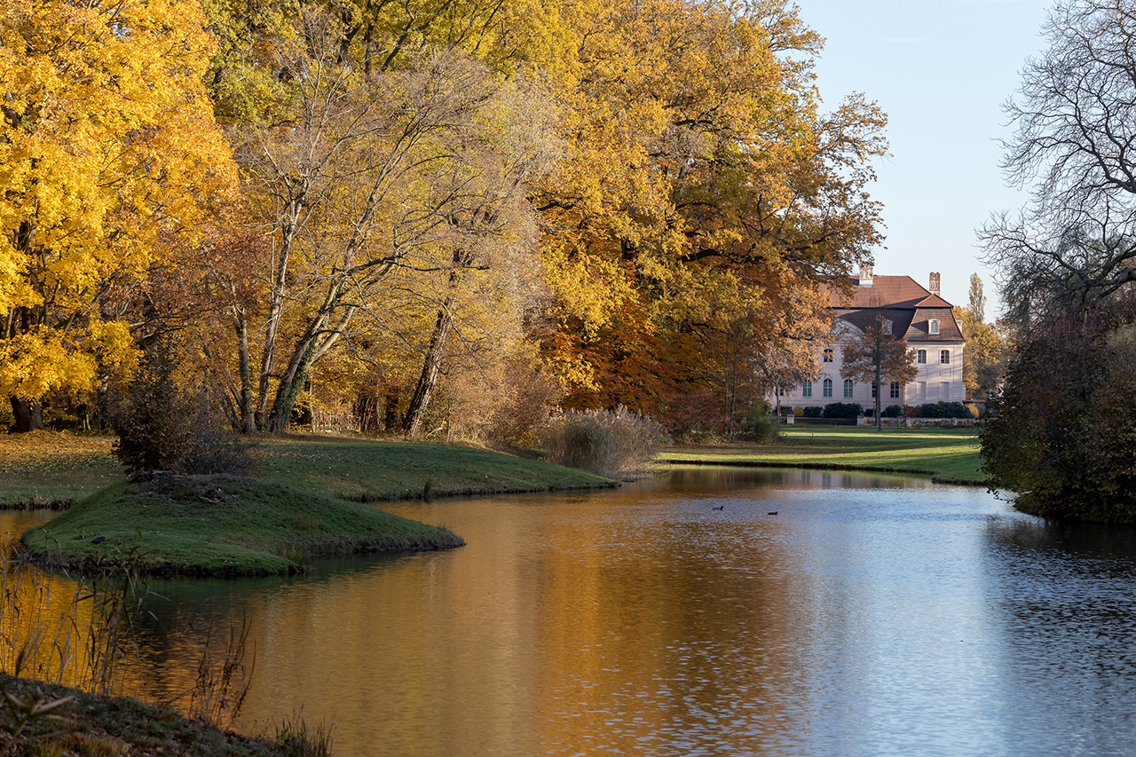 Der Branitzer Park im Herbst. Die Blätter sind gelb gefärbt. Im Vordergrund ist Wasser zu sehen.