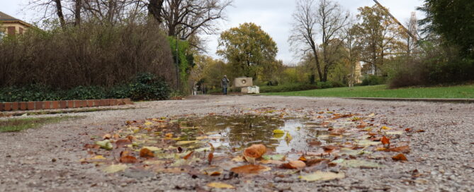 Puschkinpark mit einer Fütze und Laub auf dem Boden.