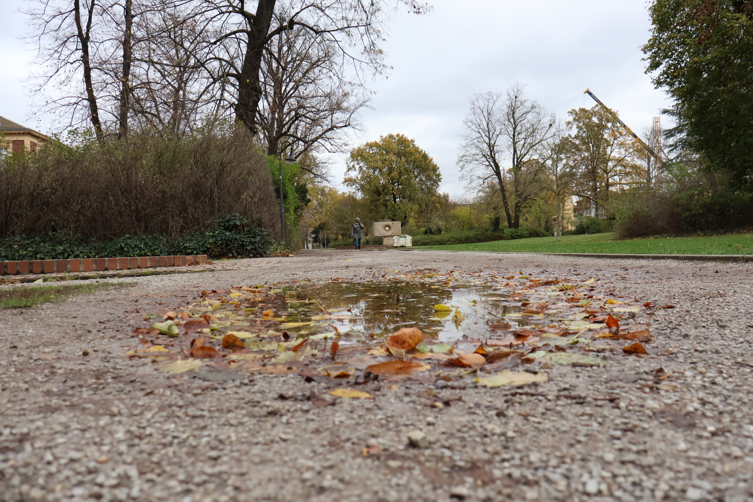 Puschkinpark mit einer Fütze und Laub auf dem Boden.