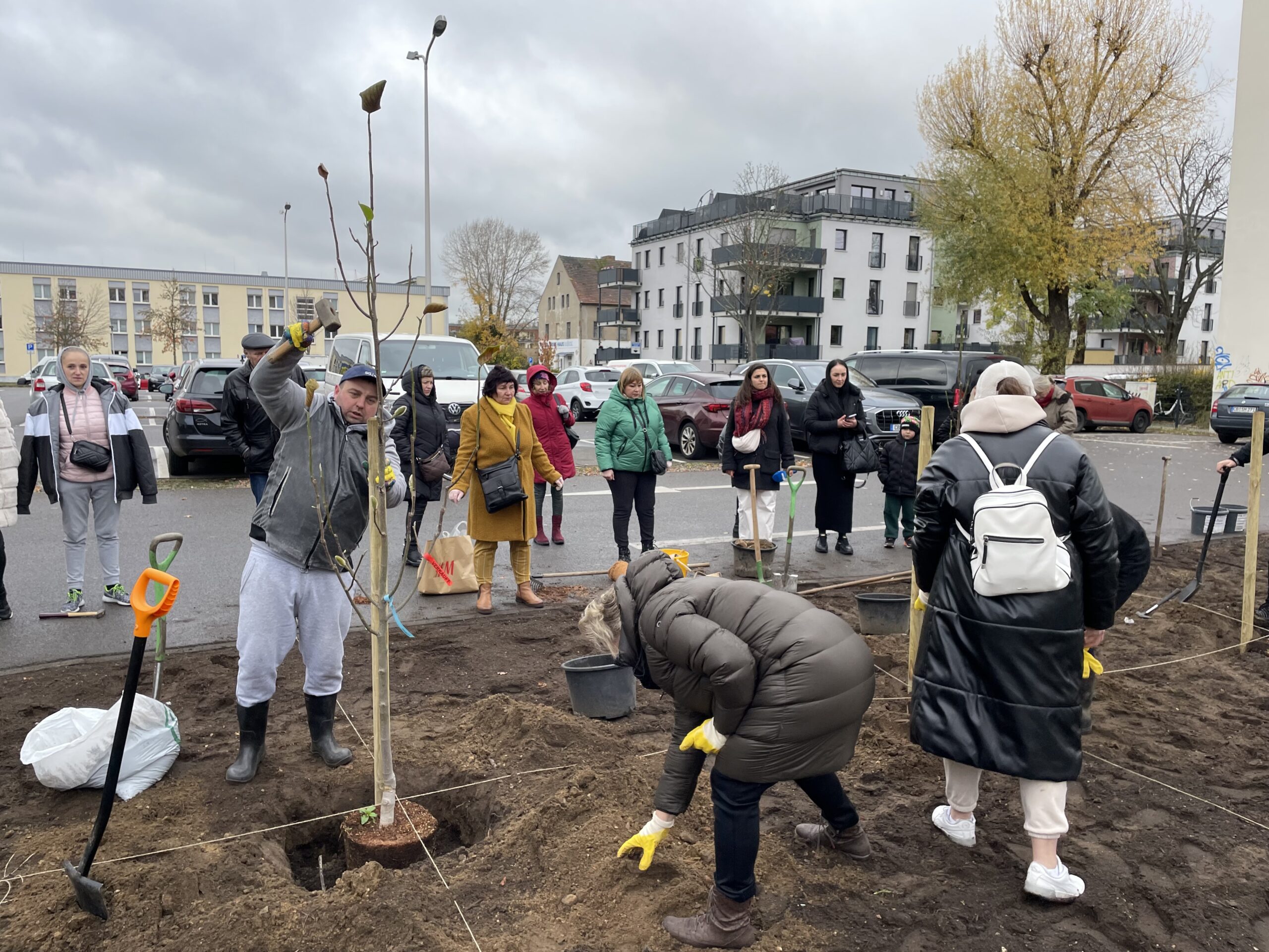 Menschen pflanzen Bäume in die Erde