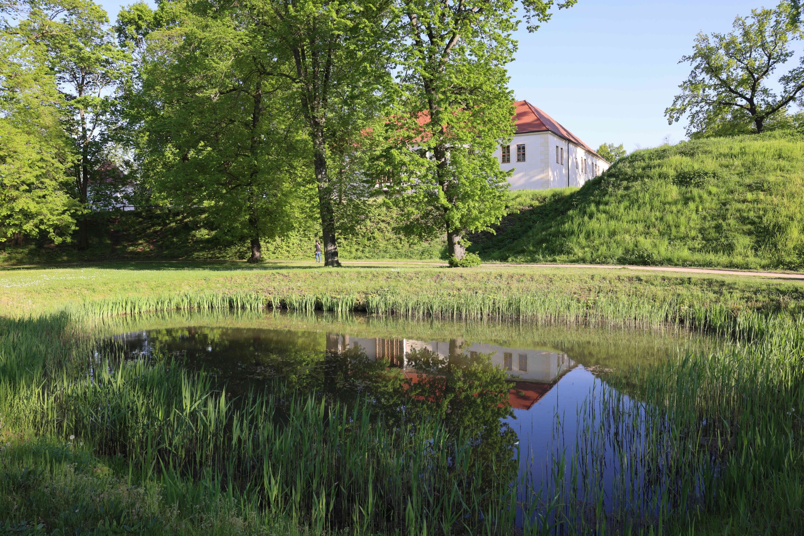 Das Foto zeigt den Teich im Schlosspark Senftenberg umgeben von sehr viel Grün.