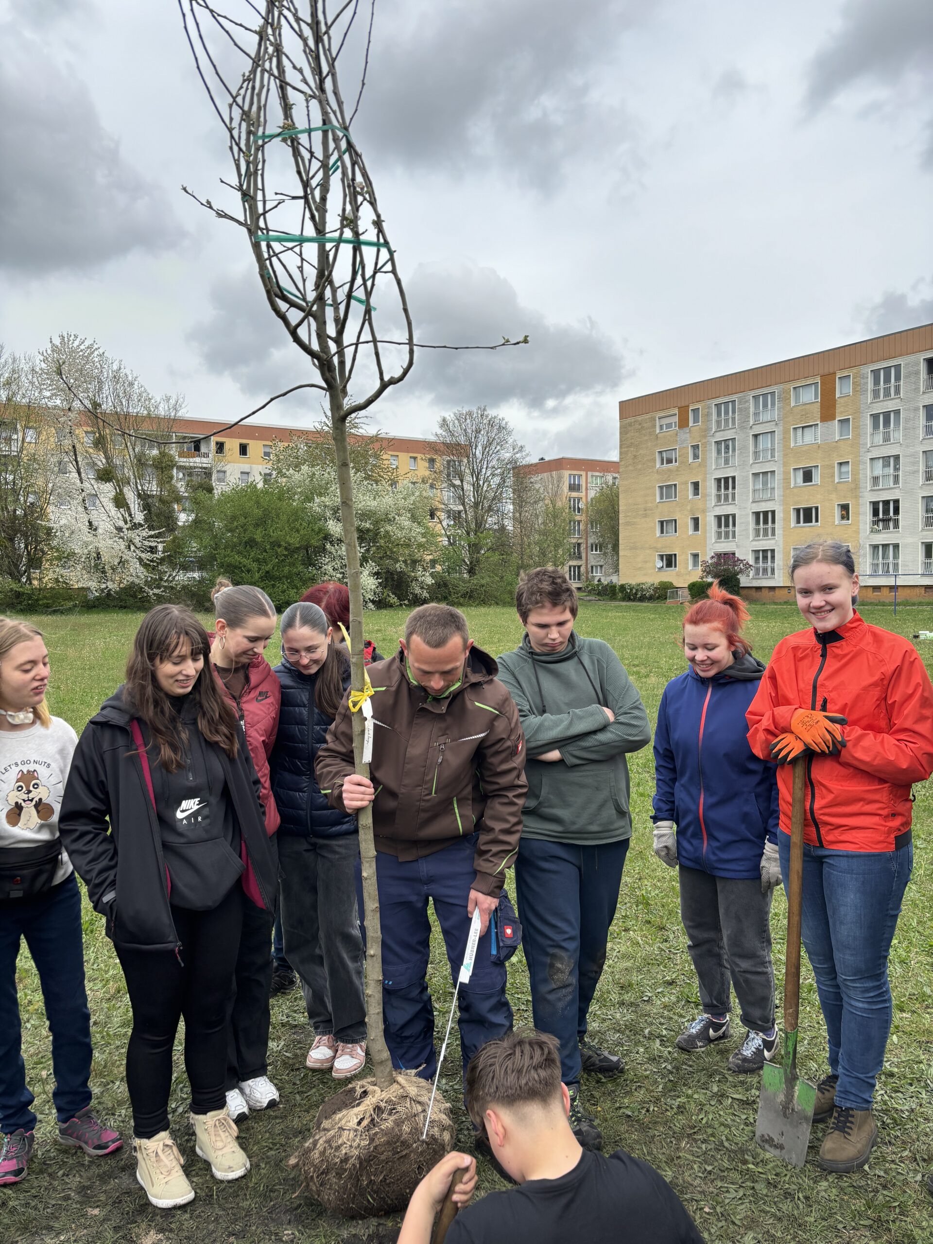 Schülerinnen und Schüler pflanzen einen Apfelbaum