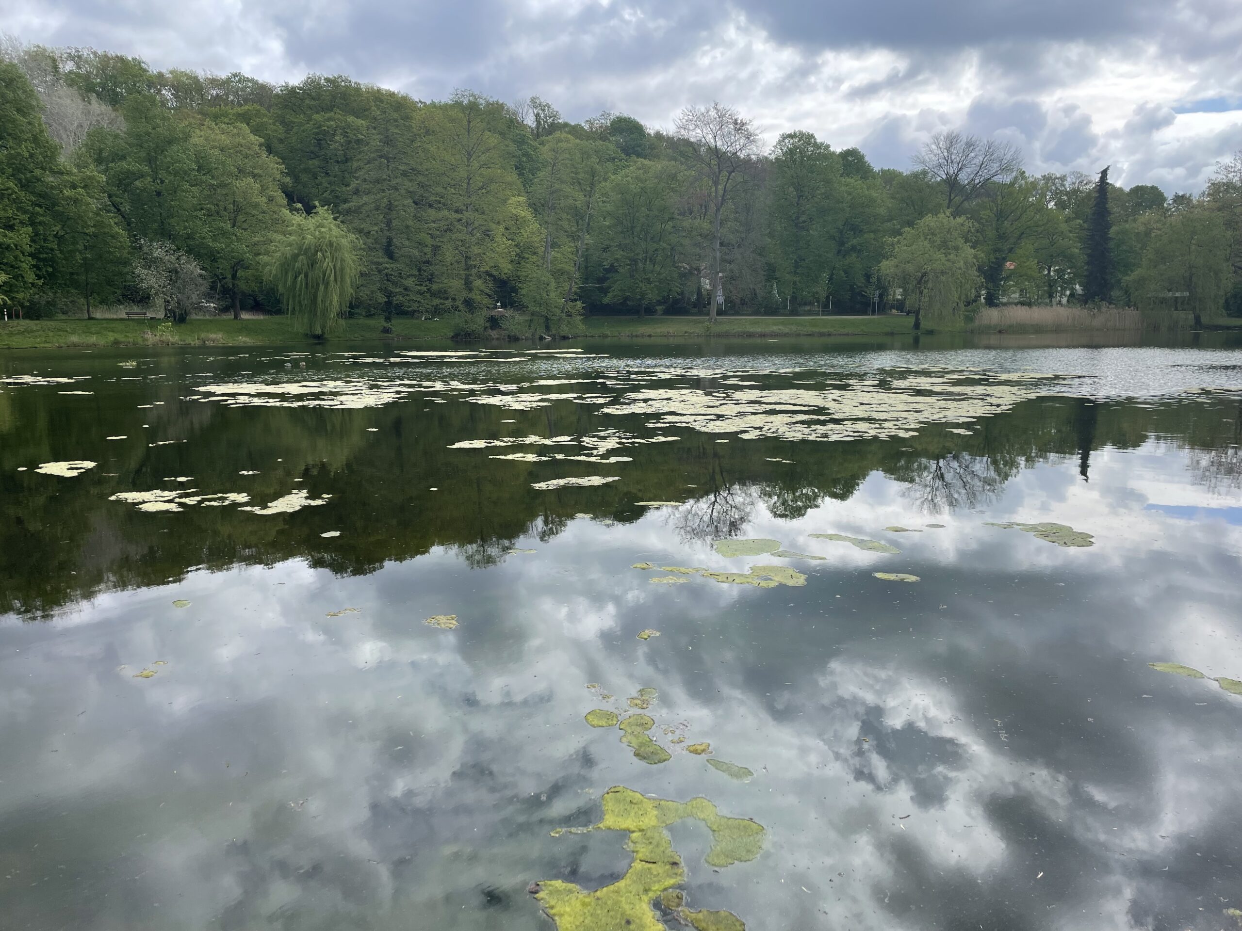 See mit leichtem Algenbefall