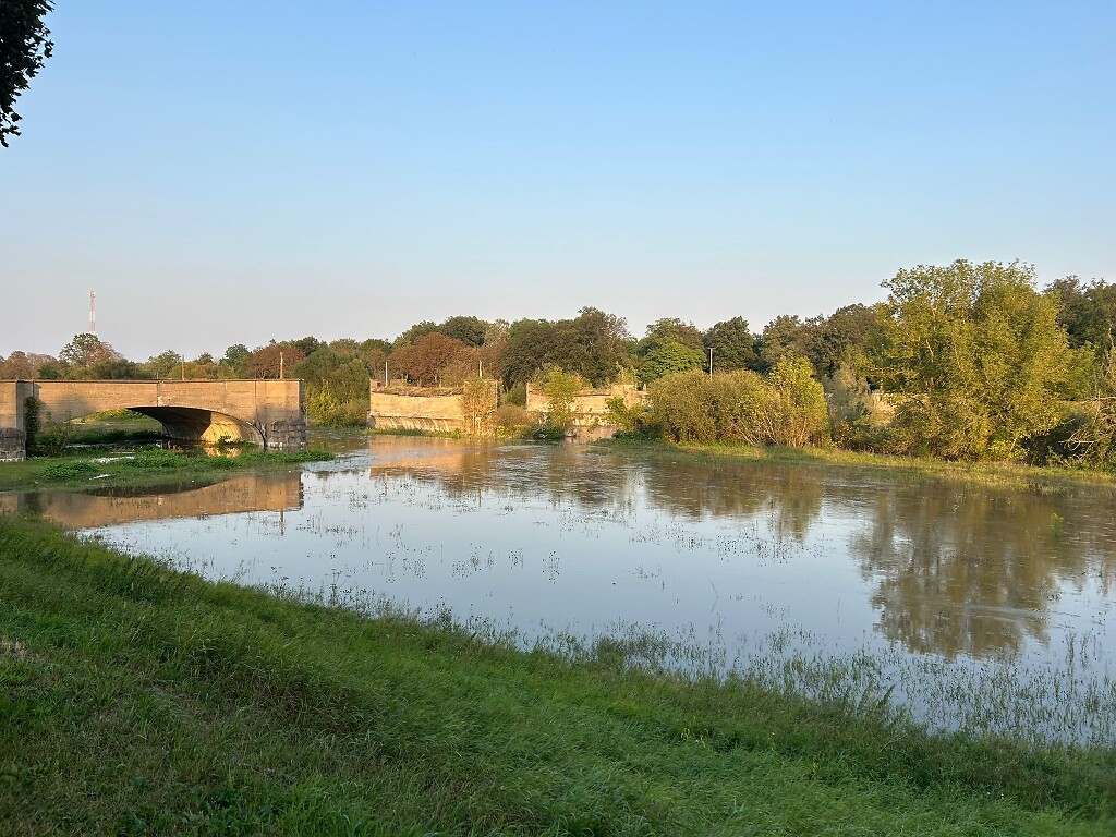 Hochwasser grüne Wiese mit Wasser