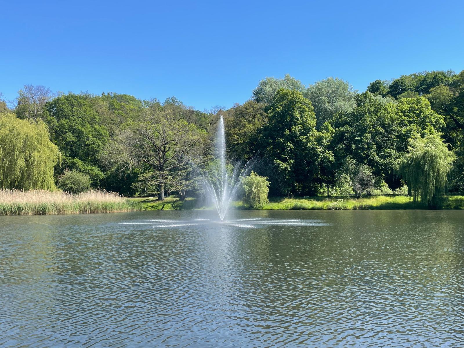 Schwanenteich Spremberg Wasser mit einer Fontäne