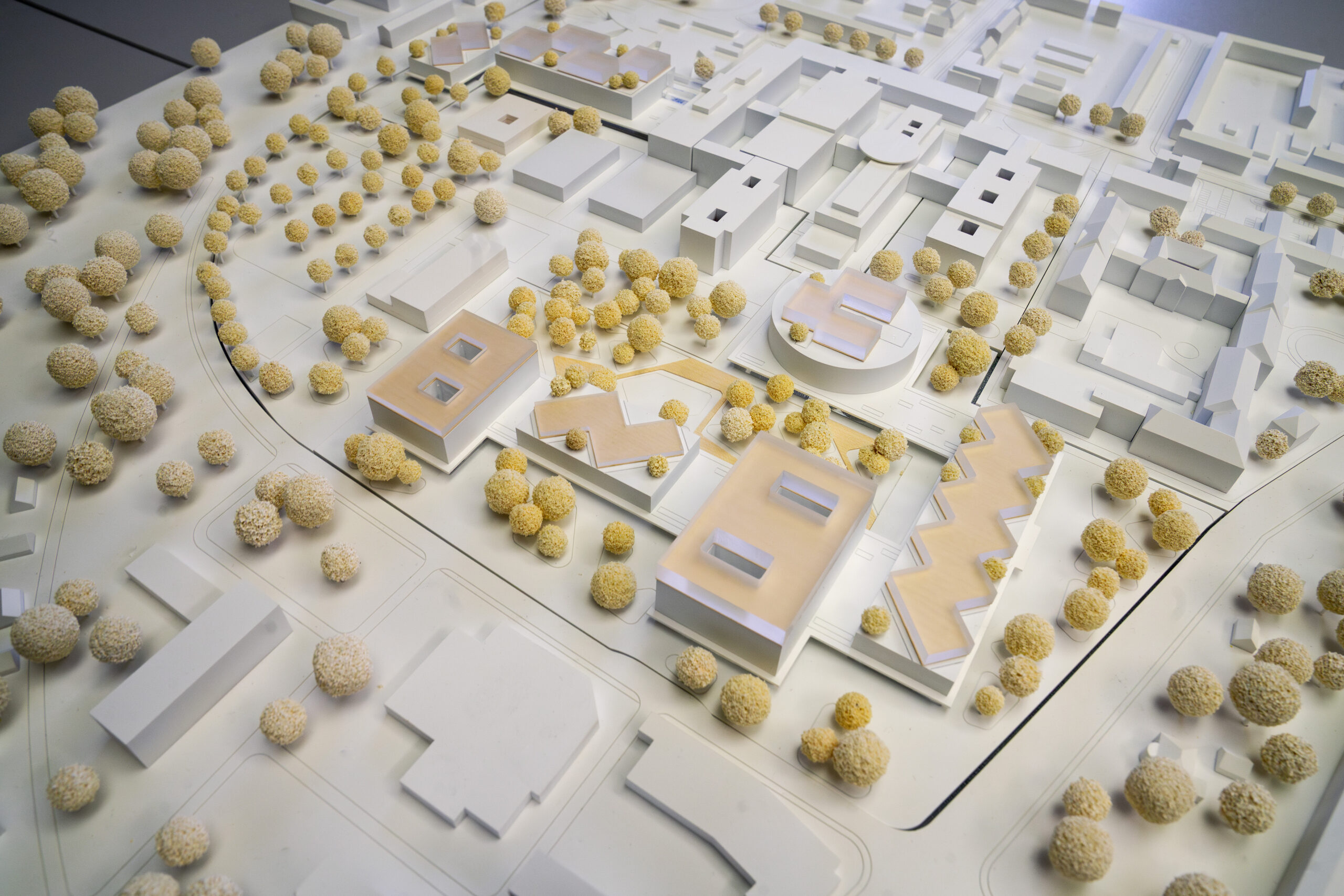MUL_Pressemitteilung_Foto 0 Entwurf zum neuen Universitätsklinikums Campus in Cottbus