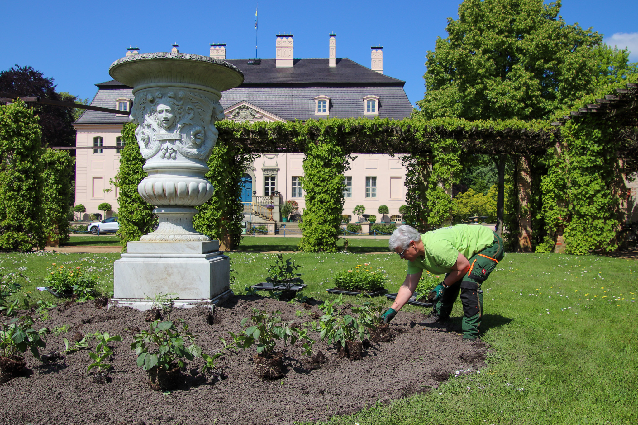 Sommerbepflanzung im Pergolagarten_SFPM Gärtner pflanzen im Branitzer Park Blumen