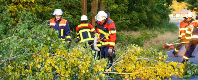 Feuerwehr beseitigt Sturmschäden