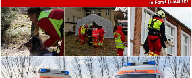 Fleyer für einen Eignungstest der Rettungshundestaffel