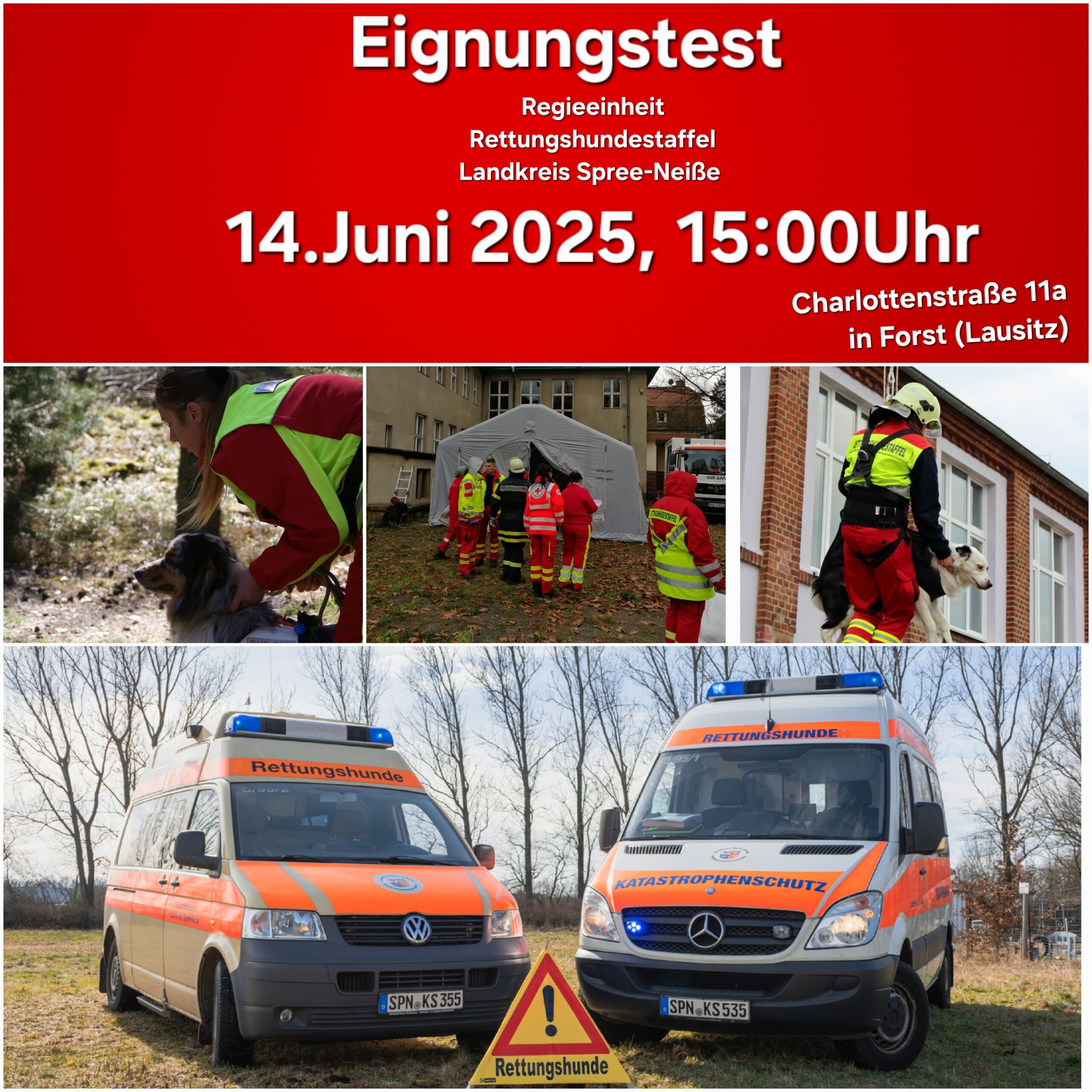 Hundestaffel Fleyer für einen Eignungstest der Rettungshundestaffel