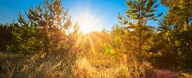 Das Foto zeigt die Sonne, die hinter einer ausgetrockneten Landschaft untergeht.
