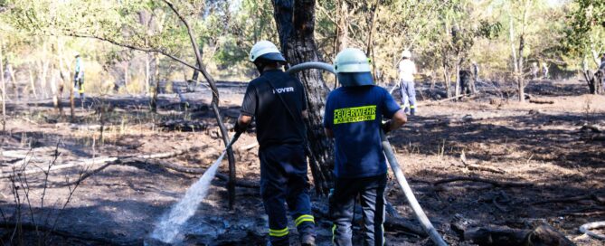 Feuerwehrmänner löschen einen Waldbrand