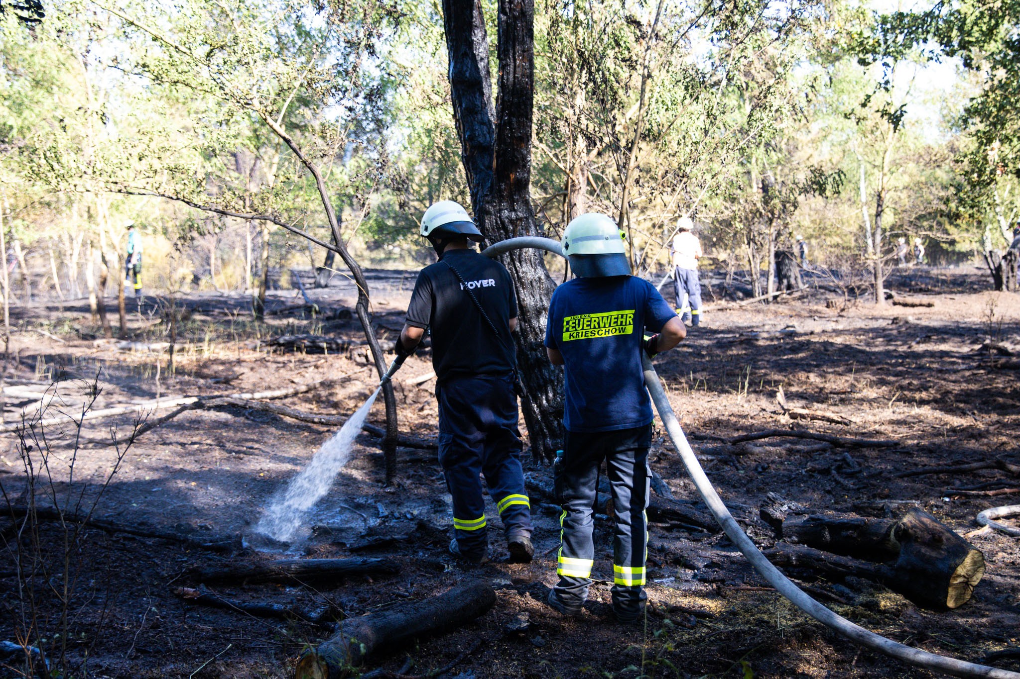 Waldbrand Feuerwehrmänner löschen einen Waldbrand