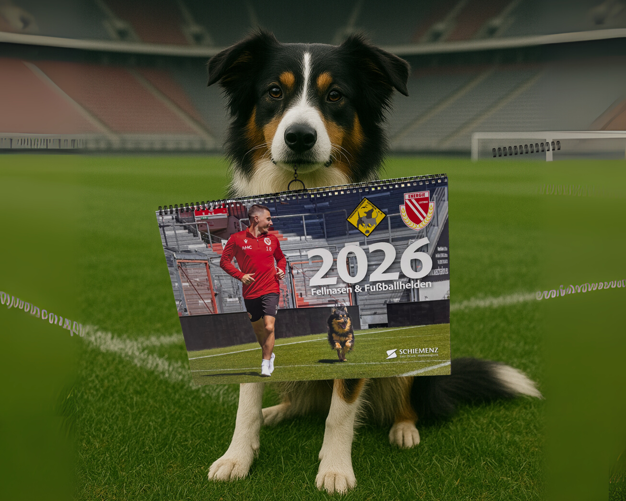 INSTAGRAM-BAUTEC-Foto-Collage Ein Hund hält den Charity Kalender des Tierheims in der Schnauze, der zusammen mit Energie Cottbus entstanden ist.