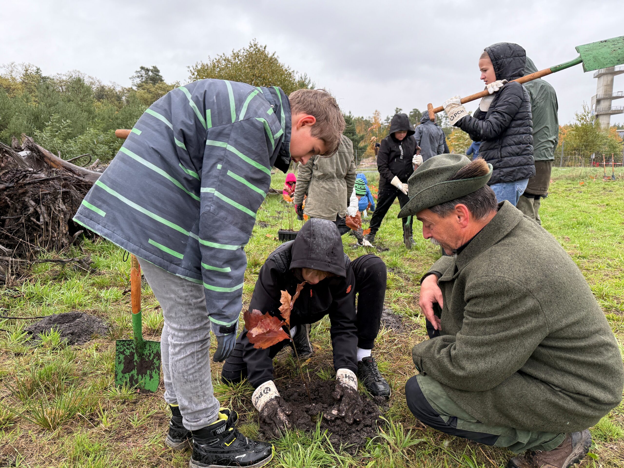 Vertreter der LEAG pflanzen im ehemaligen Tagebau Nochten gemeinsam mit Schülern Roteichen.