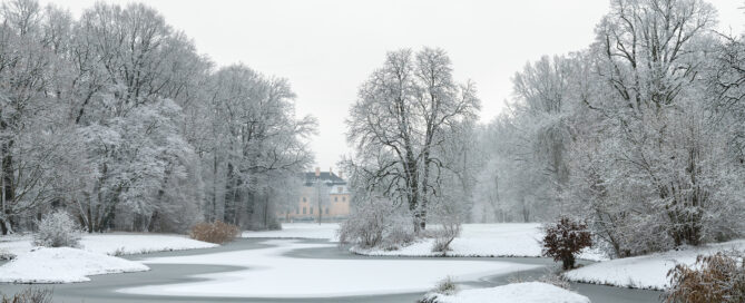 Winterlandschaft Branitzer Park