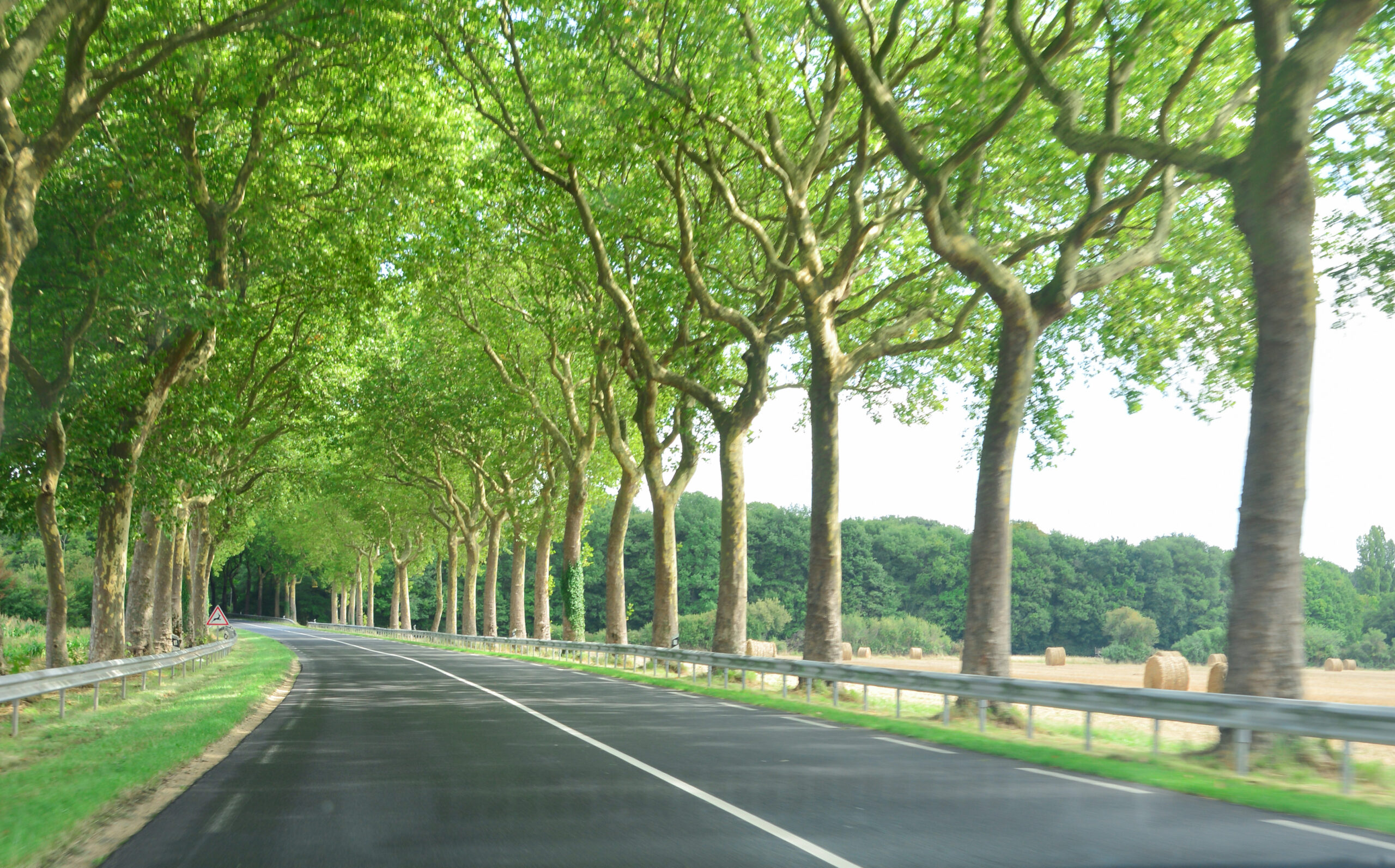 Das Foto zeigt eine Landstraße mit Feldern und Bäumen am Straßenrand.