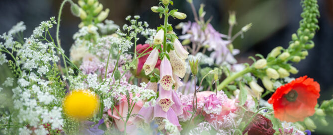 Blumen sind auf dem Bild zu sehen