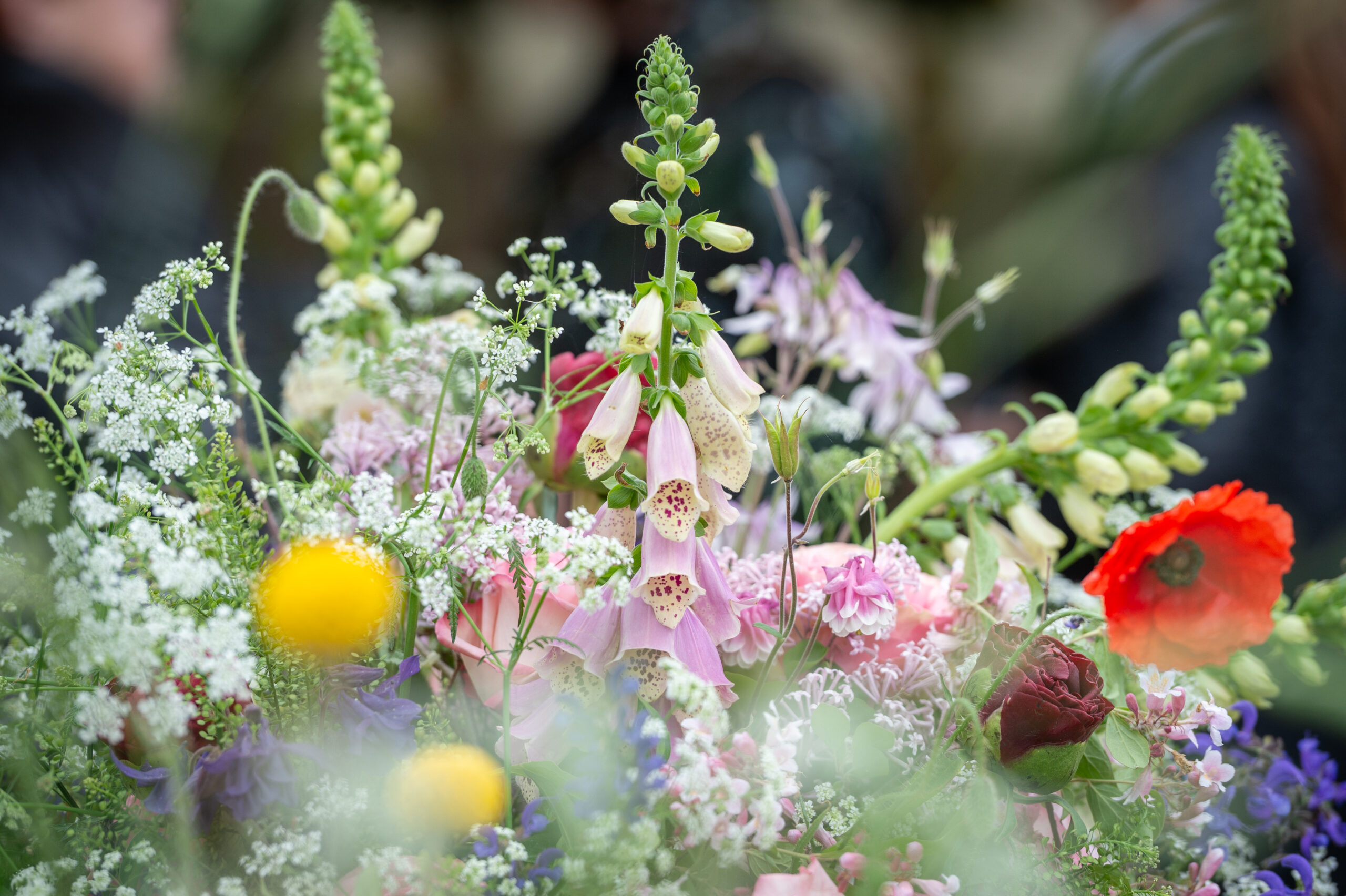 Blumen sind auf dem Bild zu sehen
