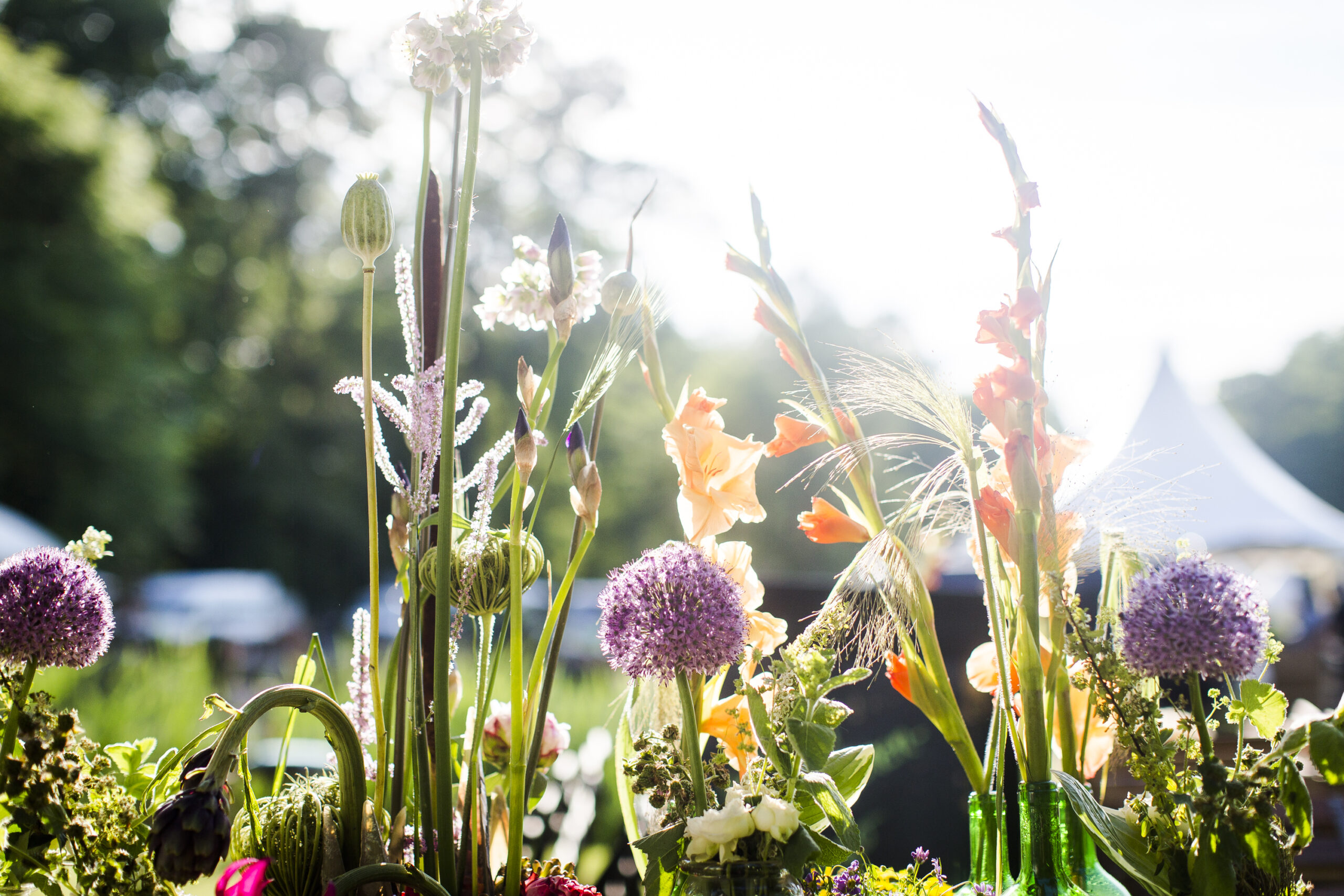 Der Park Branitz ist zu sehen