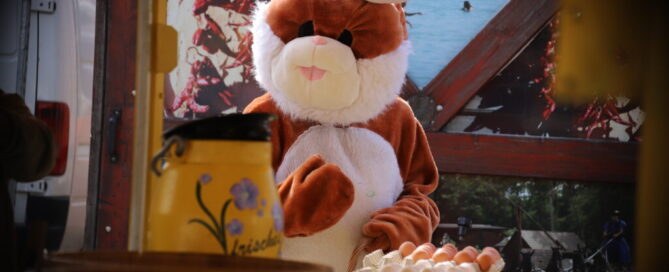 Ein Osterhase ist auf dem Bild zu sehen