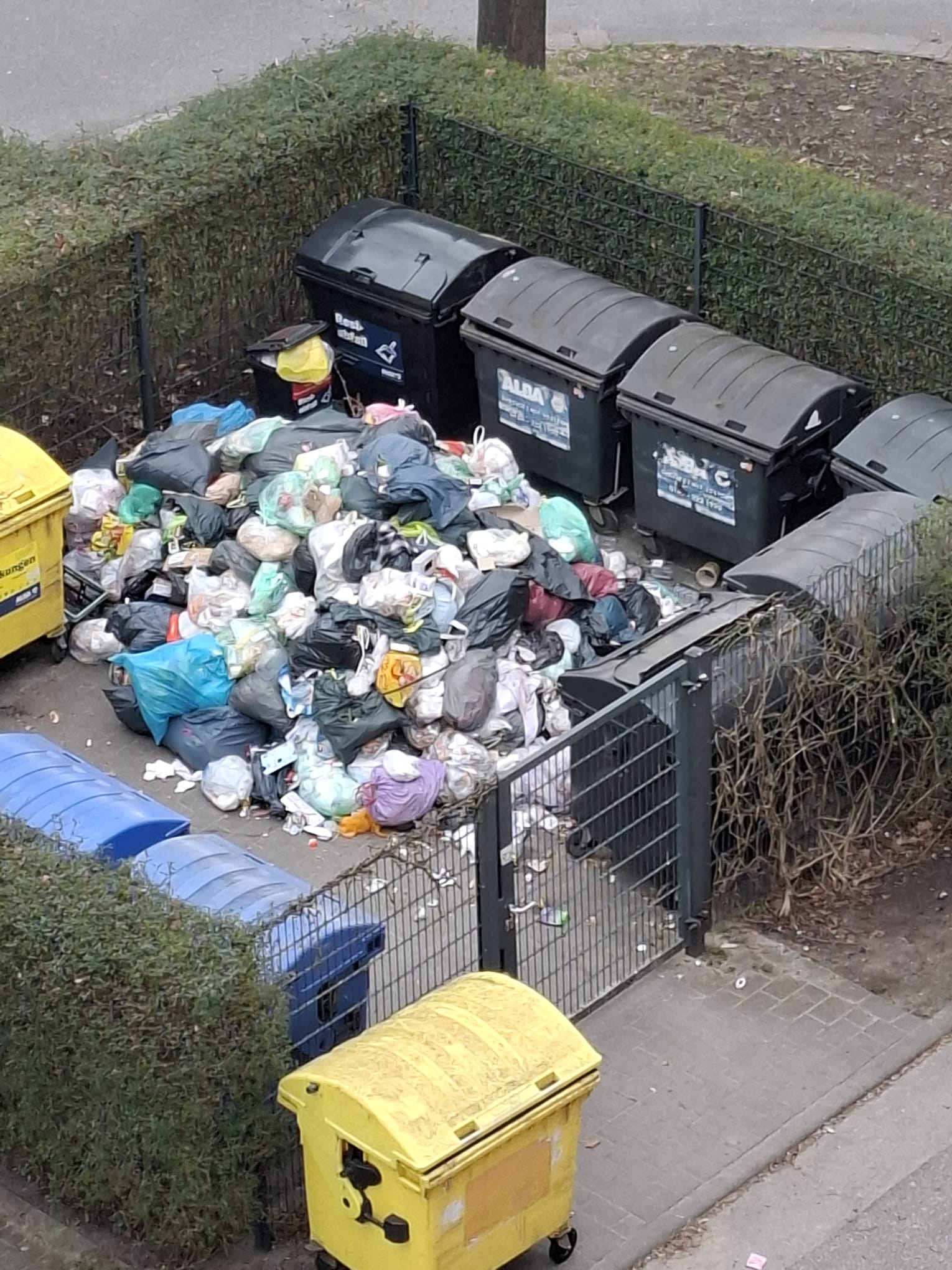 überfüllte Mülltonnen