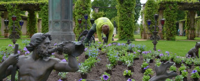 Blumenbeet im Branitzer Park