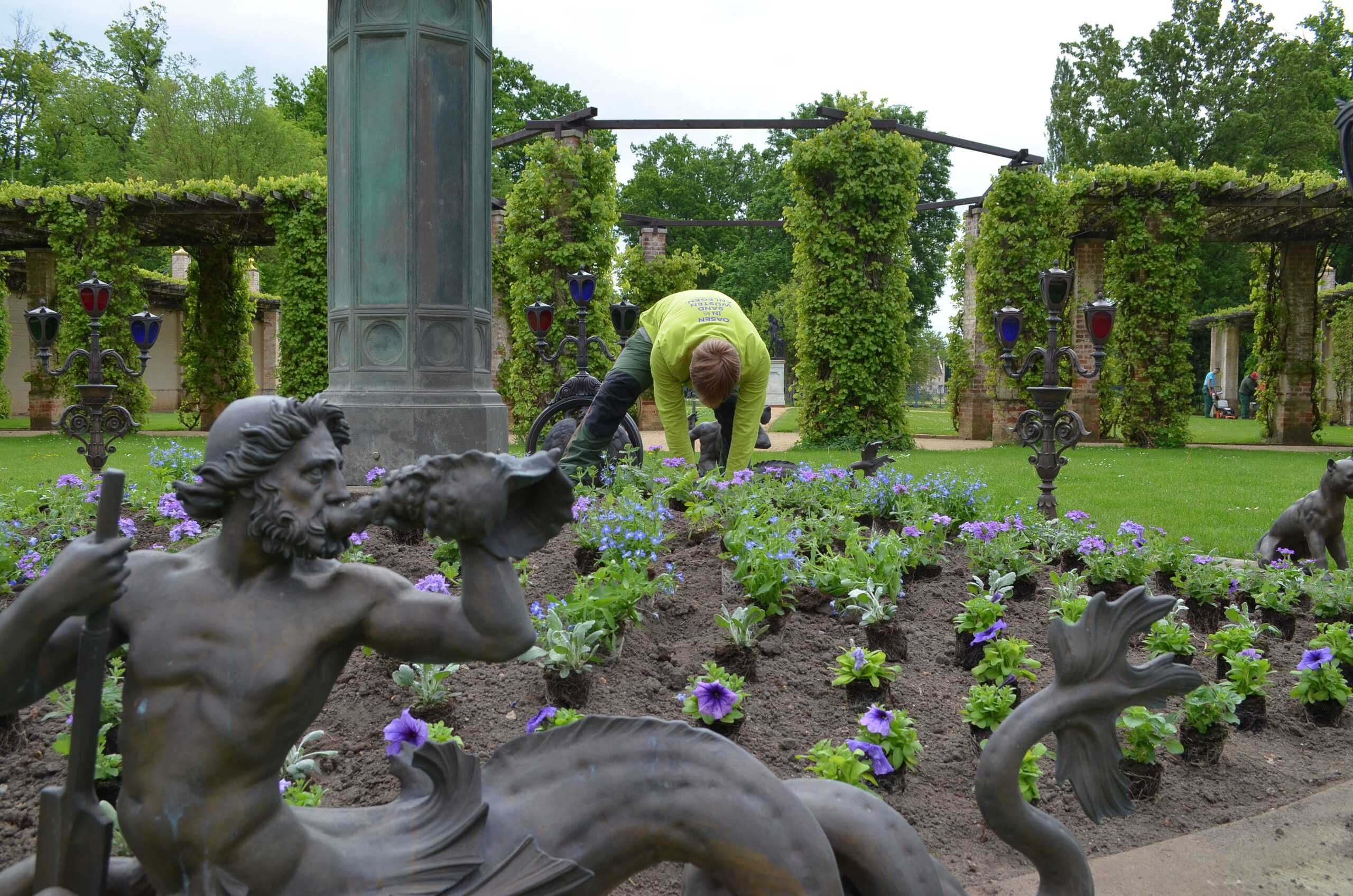 1_Venusbeet_blaueBlumen Blumenbeet im Branitzer Park