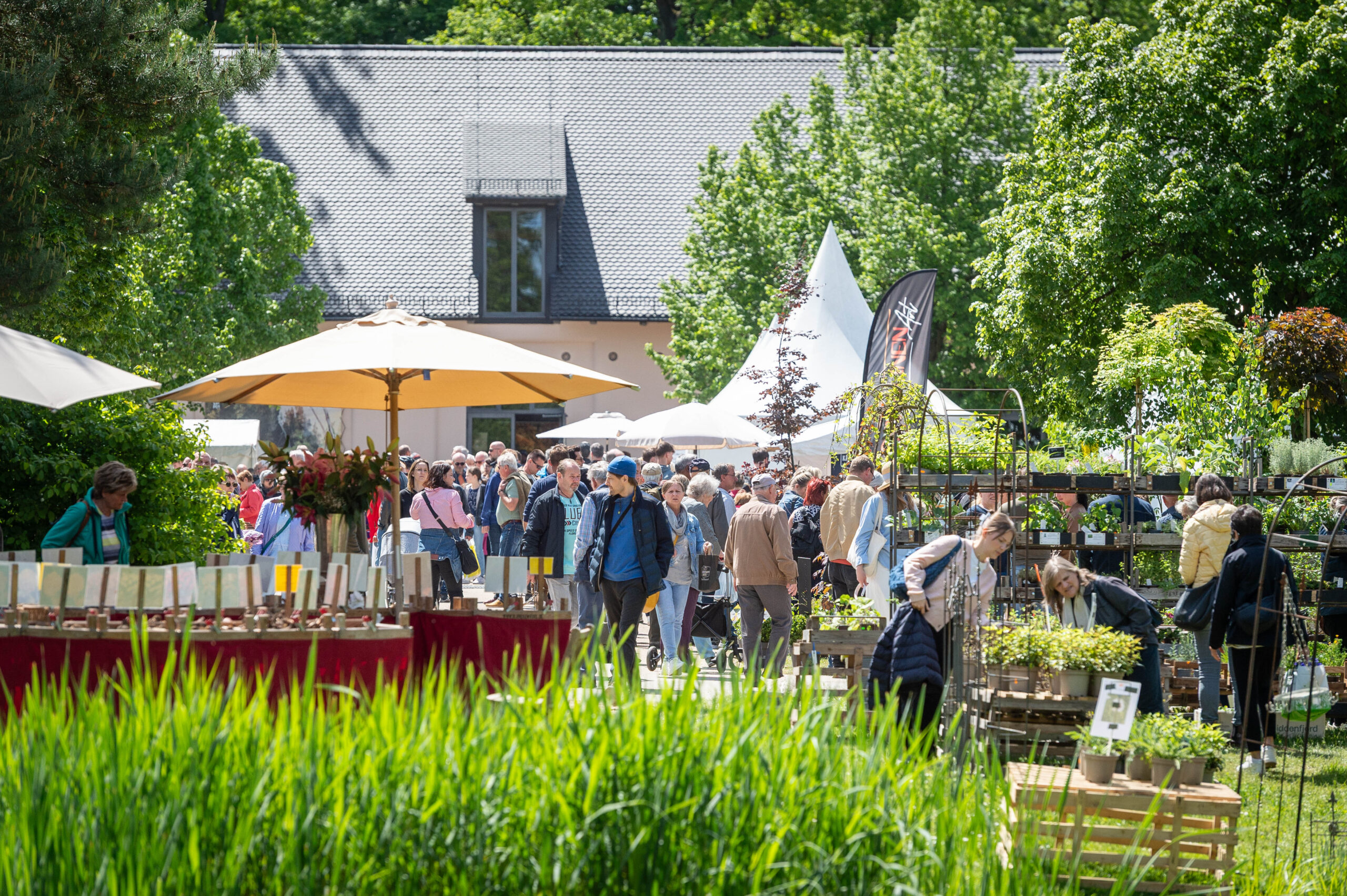 355_GF_2026_THomas Goethe Bild vom Gartenfestival 2026