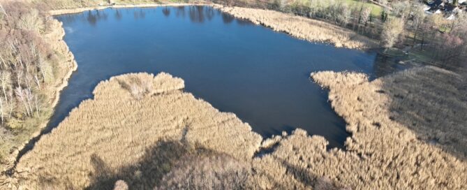 Das Foto zeigt die Teichlandschaft im Landkreis Spree-Neiße als Luftbildaufnahme.