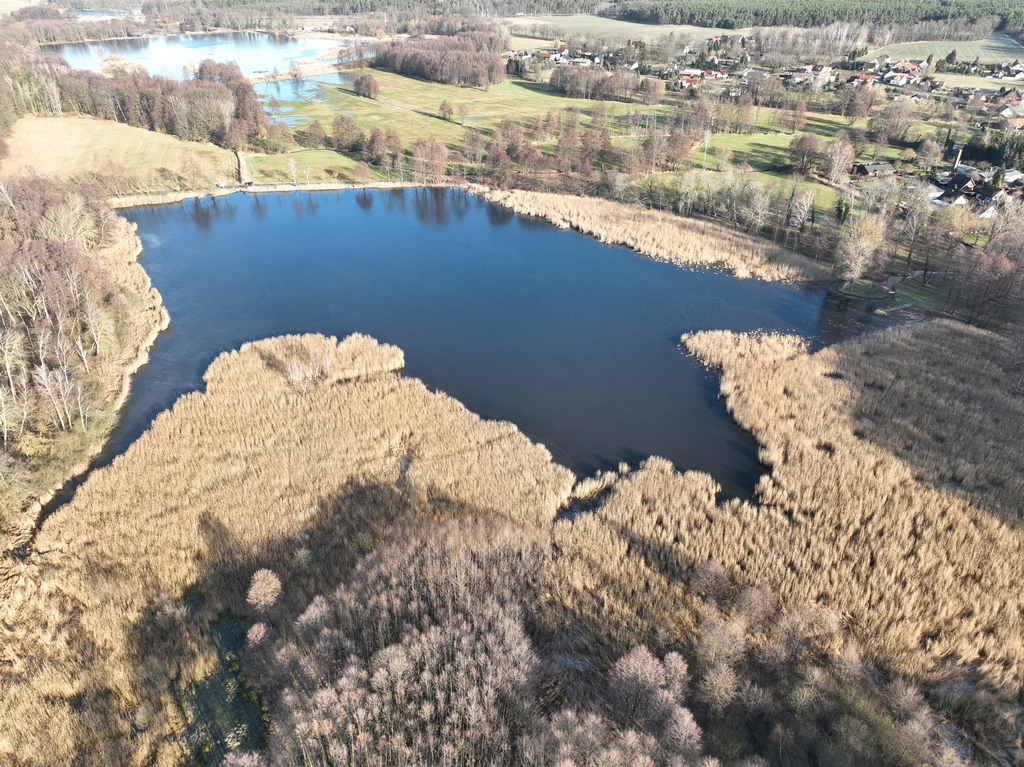 Das Foto zeigt die Teichlandschaft im Landkreis Spree-Neiße als Luftbildaufnahme.